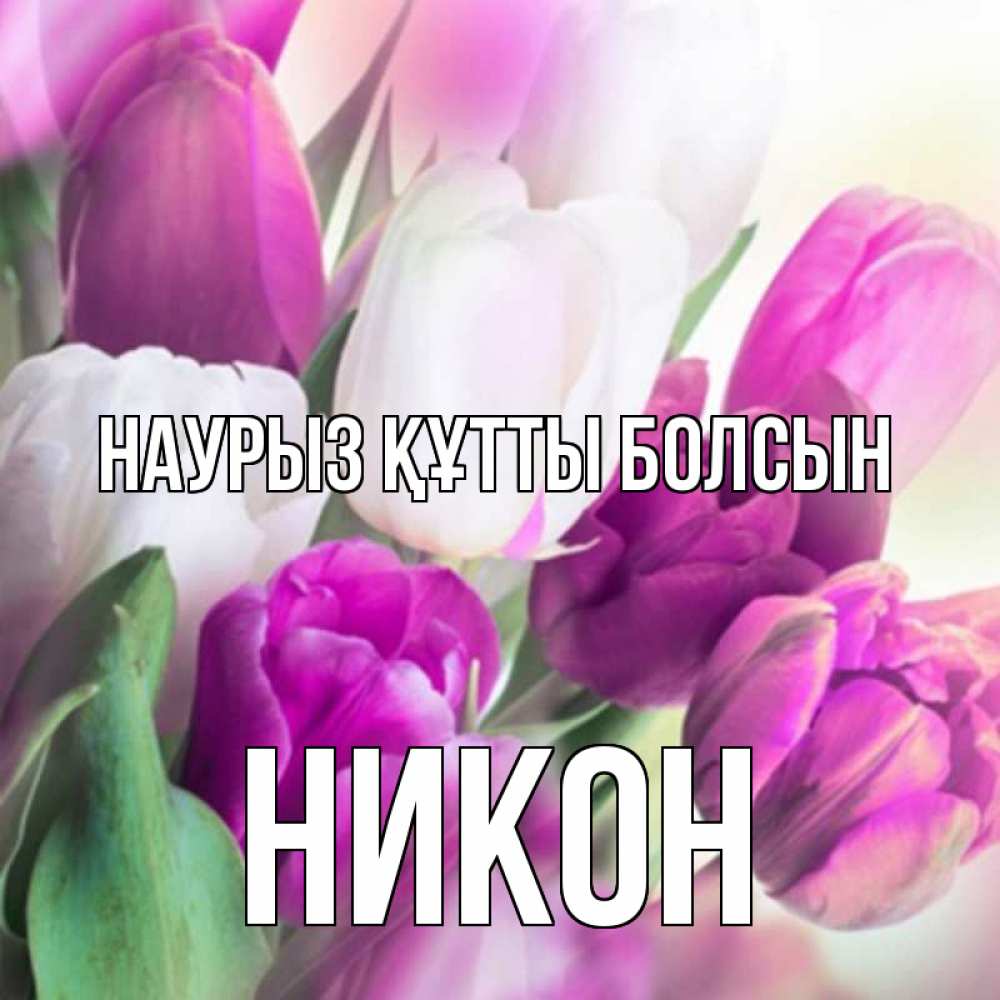 Открытка на каждый день с именем, Никон Наурыз құтты болсын весна 1 Прикольная открытка с пожеланием онлайн скачать бесплатно 