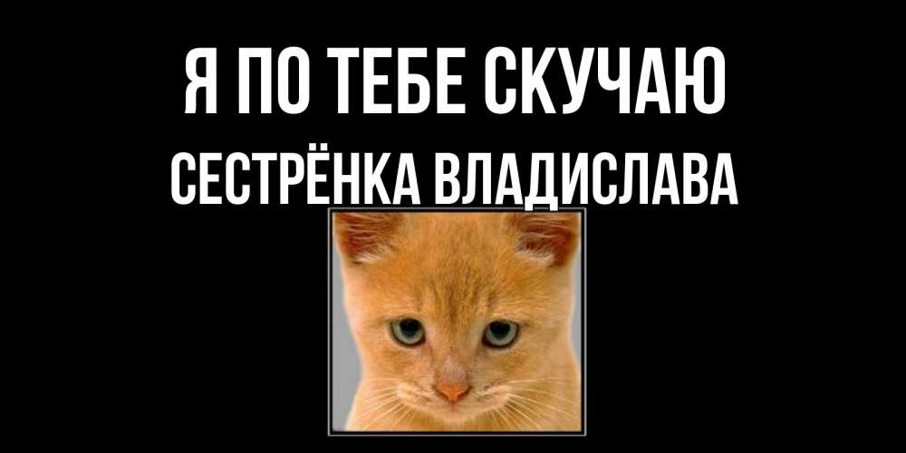 Открытка на каждый день с именем, Сестрёнка-Владислава Я по тебе скучаю открытки рыжий котенок скучает по тебе Прикольная открытка с пожеланием онлайн скачать бесплатно 