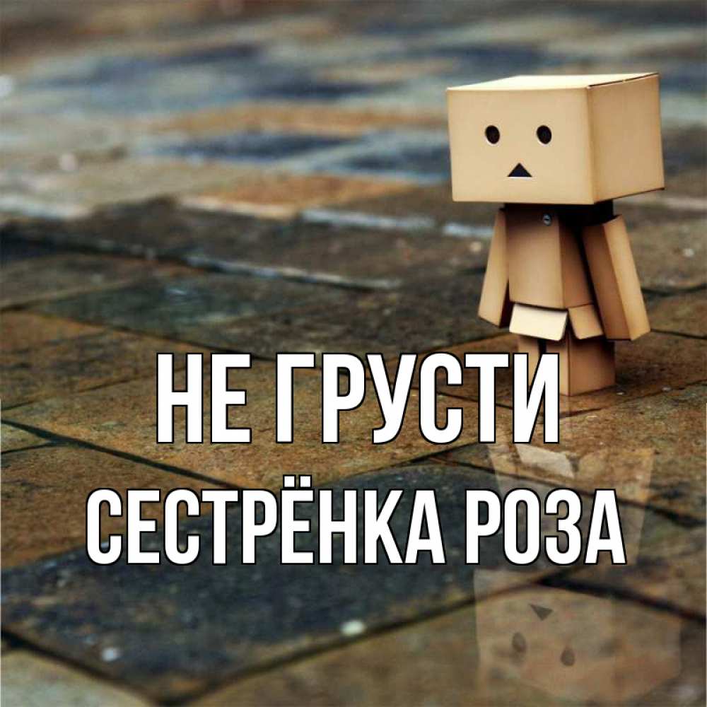 Открытка на каждый день с именем, Сестрёнка-Роза Не грусти Стив Прикольная открытка с пожеланием онлайн скачать бесплатно 