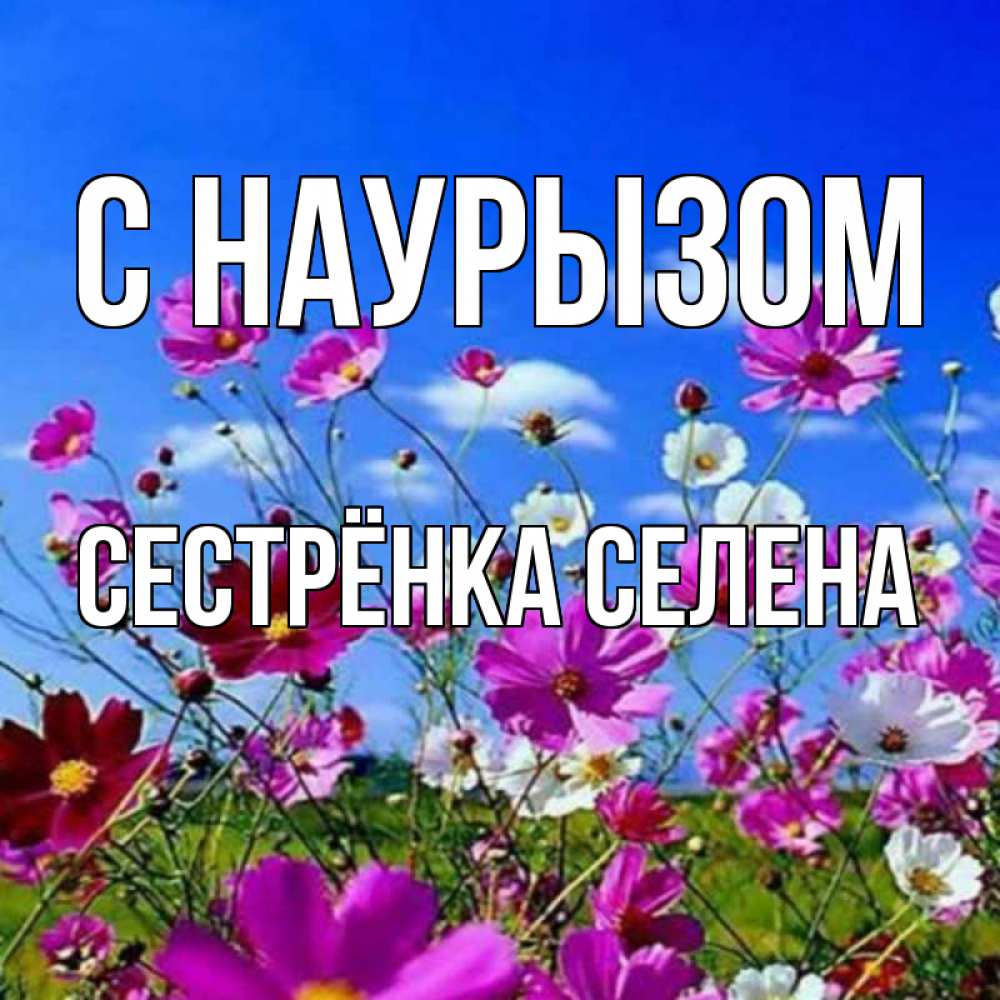 Открытка на каждый день с именем, Сестрёнка-Селена С наурызом цветы Прикольная открытка с пожеланием онлайн скачать бесплатно 