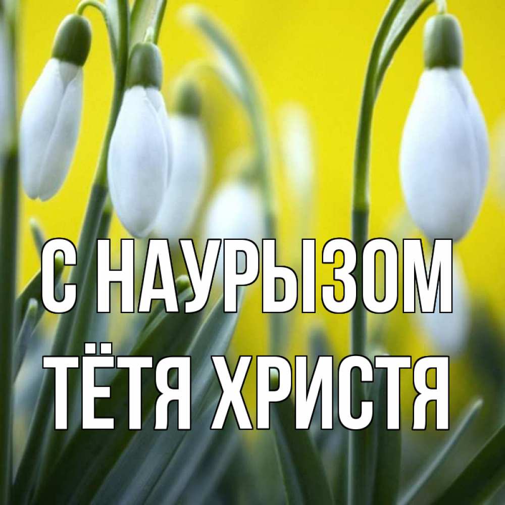 Открытка на каждый день с именем, Тётя-Христя С наурызом весенние цветы Прикольная открытка с пожеланием онлайн скачать бесплатно 
