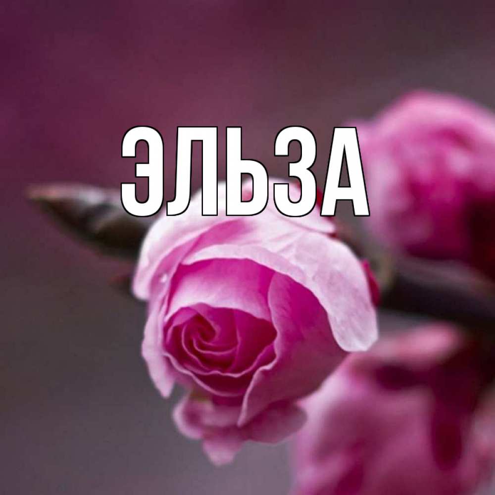 Открытка на каждый день с именем, Эльза Главная весна Прикольная открытка с пожеланием онлайн скачать бесплатно 