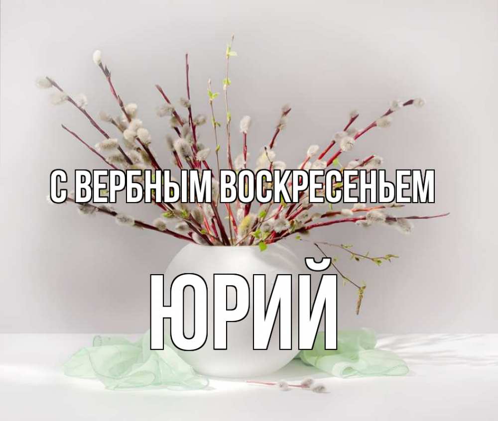 Открытка на каждый день с именем, Юрий С вербным воскресеньем верба Прикольная открытка с пожеланием онлайн скачать бесплатно 