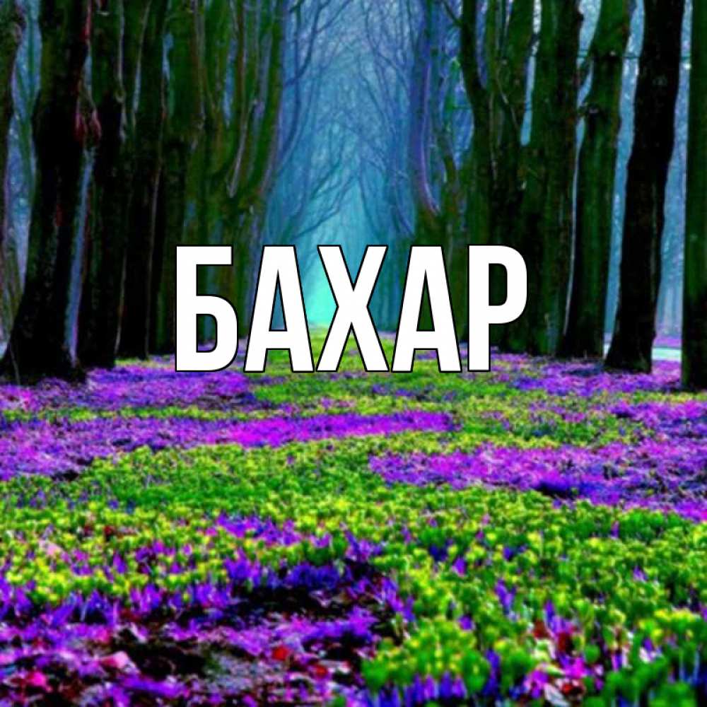 Открытка на каждый день с именем, Бахар Главная фиолетовые цветы в лесу 1 Прикольная открытка с пожеланием онлайн скачать бесплатно 