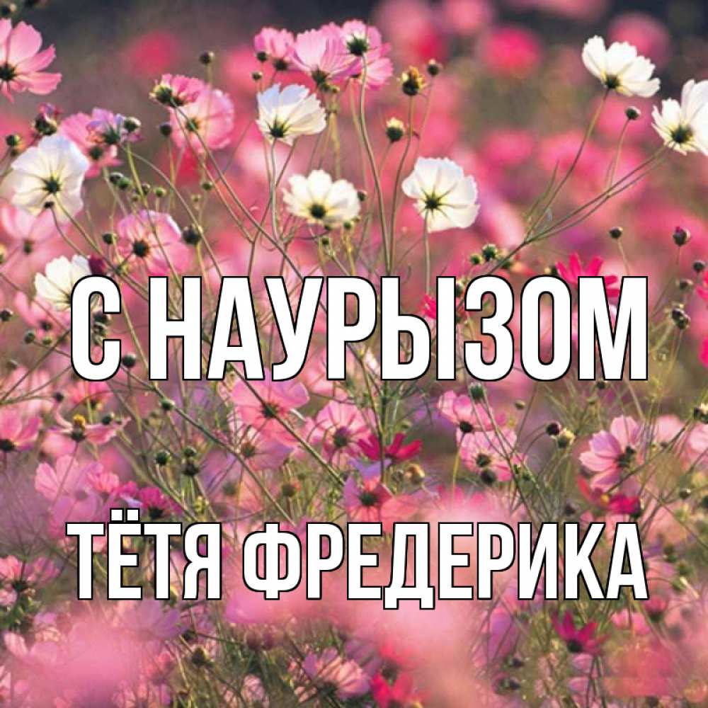 Открытка на каждый день с именем, Тётя-Фредерика С наурызом красиво 1 Прикольная открытка с пожеланием онлайн скачать бесплатно 