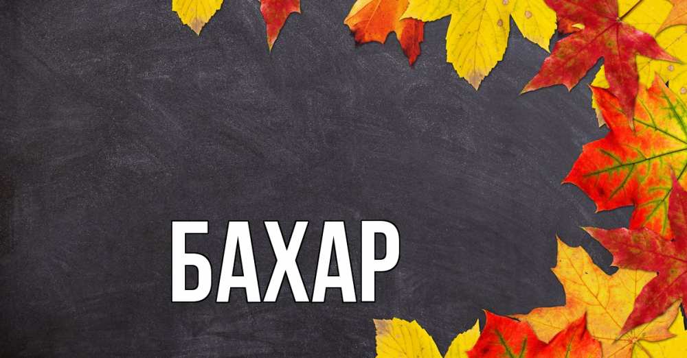 Открытка на каждый день с именем, Бахар Главная с днем знаний Прикольная открытка с пожеланием онлайн скачать бесплатно 