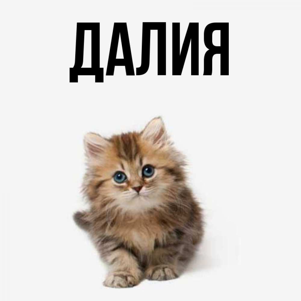 Картинка  с именем , Далия