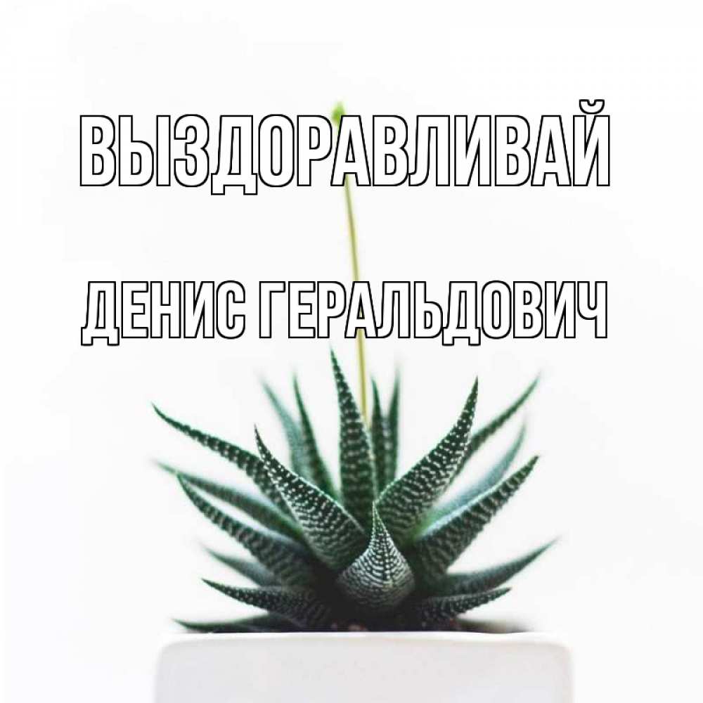 Картинка Выздоравливай, Денис Геральдович
