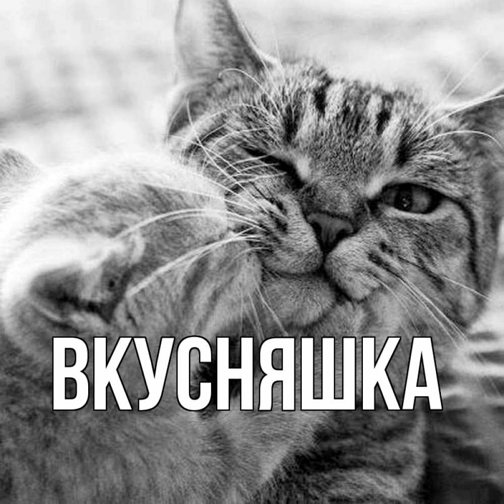 Открытка на каждый день с именем, Вкусняшка Главная коты Прикольная открытка с пожеланием онлайн скачать бесплатно 