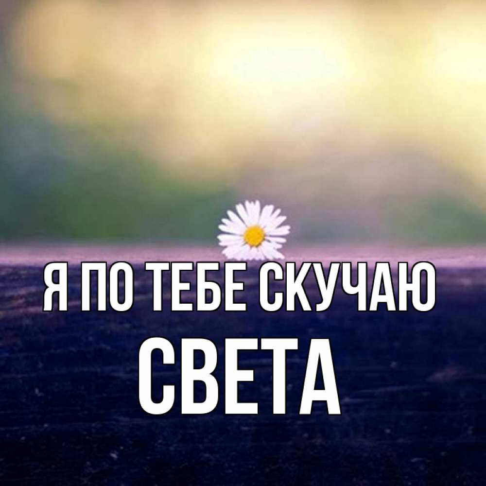 Скучаешь света. Света я скучаю по тебе. Света я скучаю по тебе картинки. Открытки света я соскучился. Света соскучилась.