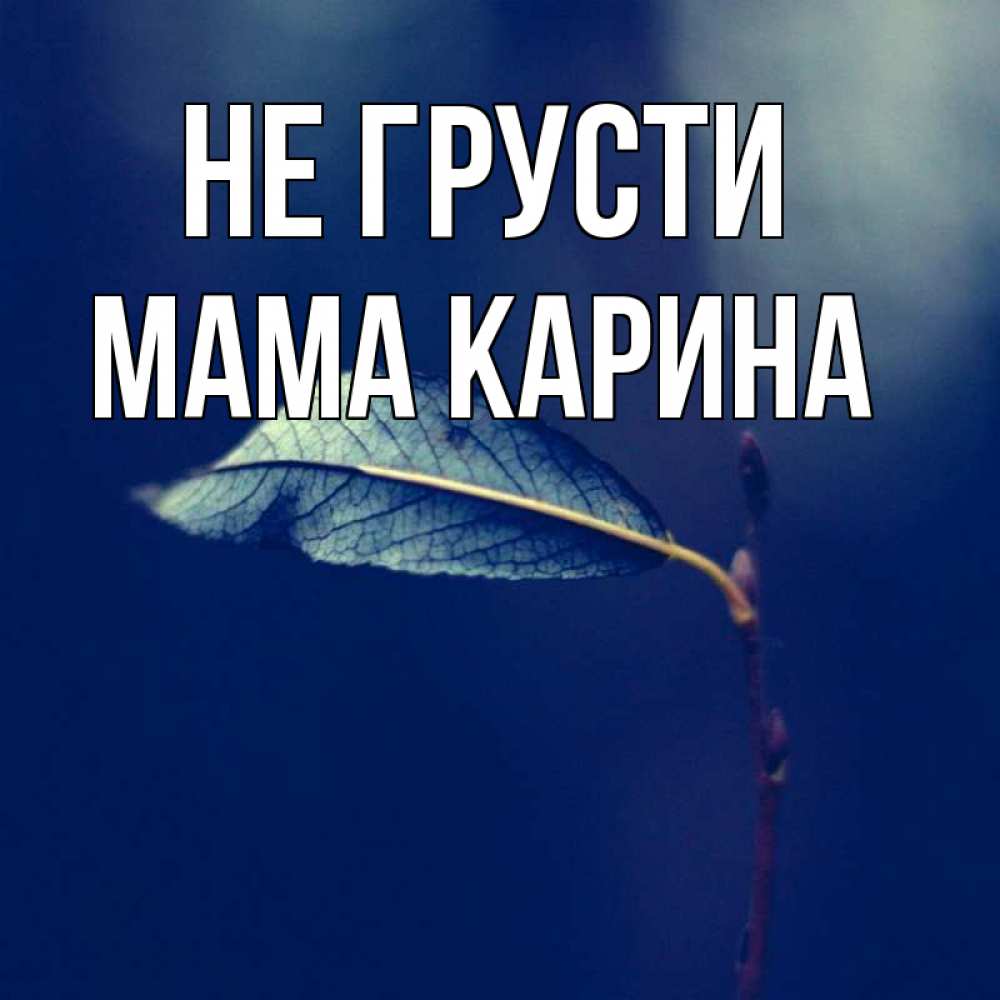 Открытка на каждый день с именем, Мама-Карина Не грусти растение Прикольная открытка с пожеланием онлайн скачать бесплатно 