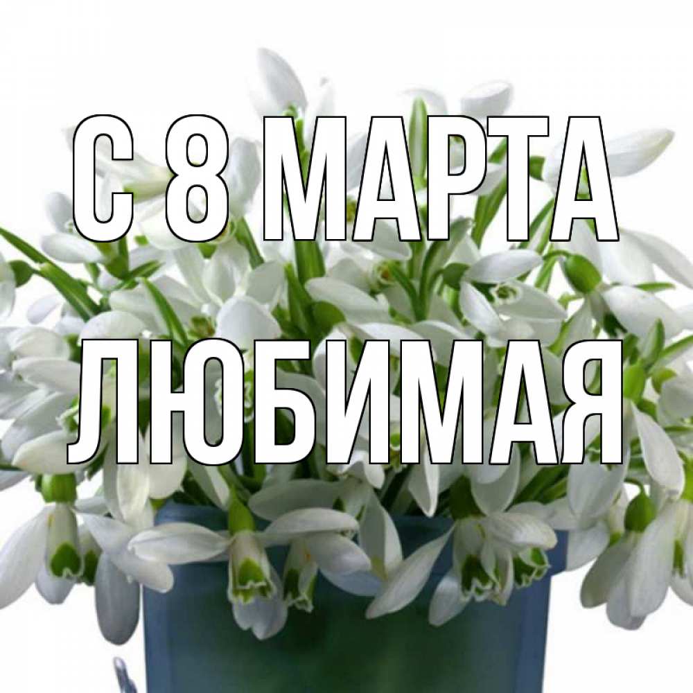 Открытка на каждый день с именем, любимая С 8 МАРТА цветы к международному женскому дню Прикольная открытка с пожеланием онлайн скачать бесплатно 