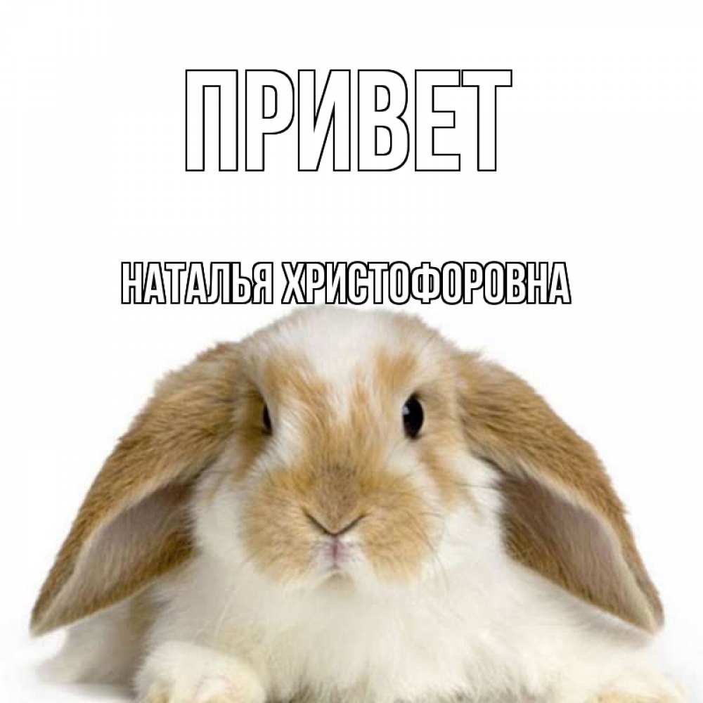 Привет Наталья
