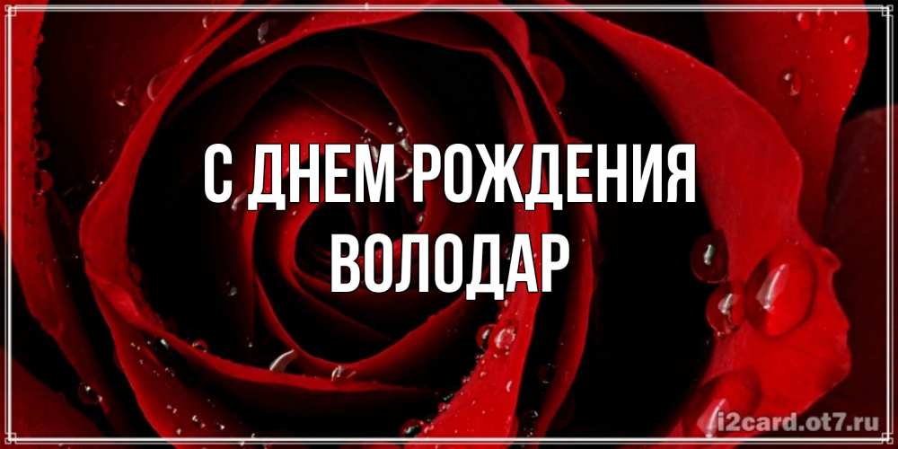 Открытка на каждый день с именем, Володар С днем рождения крупная бордовая роза Прикольная открытка с пожеланием онлайн скачать бесплатно 