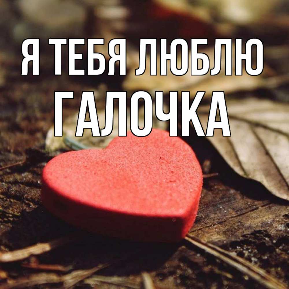 Картинка Я тебя люблю, Галочка