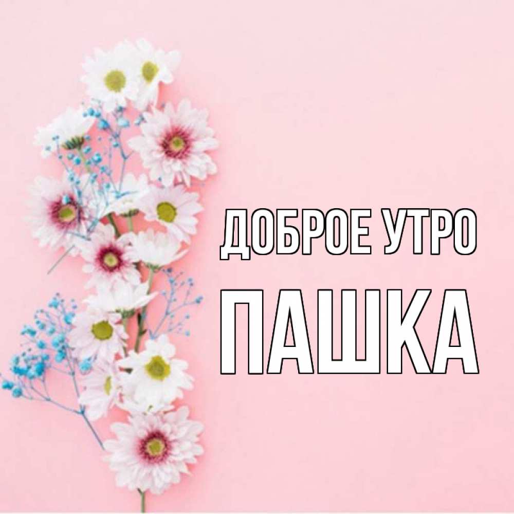 Доброе утро пашка картинки