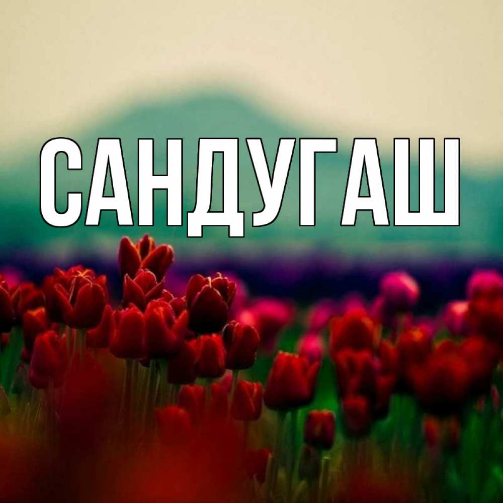 Детские, картинка с именем джамиля