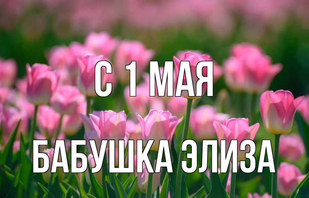 Открытка на каждый день с именем, Бабушка-Элиза С 1 мая С 1 мая Прикольная открытка с пожеланием онлайн скачать бесплатно 