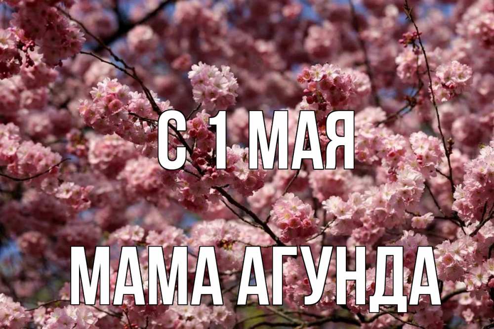 Открытка на каждый день с именем, Мама-Агунда С 1 мая С 1 мая Прикольная открытка с пожеланием онлайн скачать бесплатно 