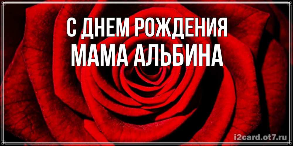Открытка на каждый день с именем, Мама-Альбина С днем рождения алая роза Прикольная открытка с пожеланием онлайн скачать бесплатно 
