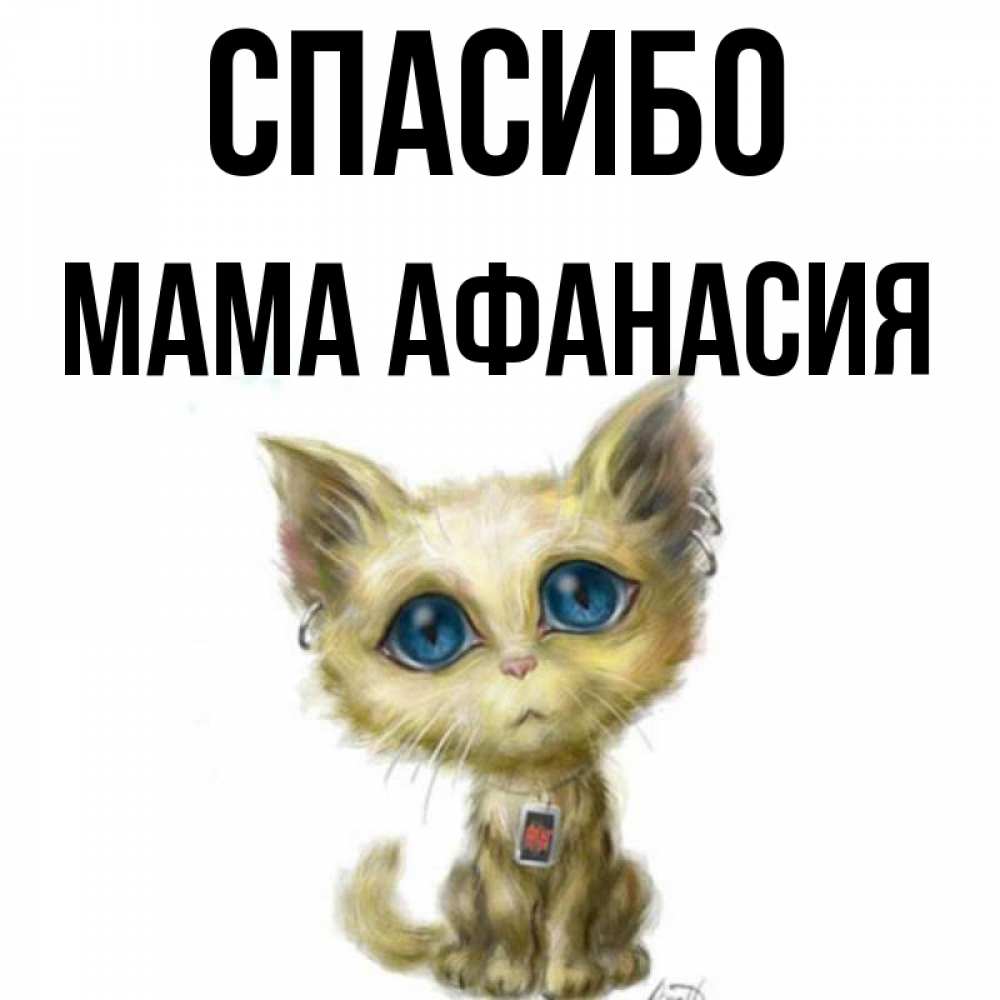 Открытка на каждый день с именем, Мама-Афанасия Спасибо рисованный кот благодарит вас Прикольная открытка с пожеланием онлайн скачать бесплатно 