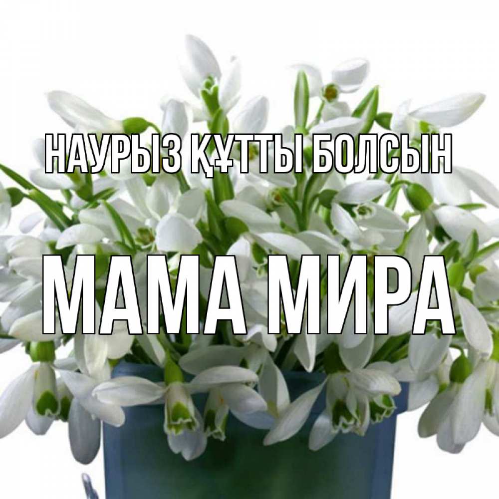 Открытка на каждый день с именем, Мама-Мира Наурыз құтты болсын цветы к наурызу Прикольная открытка с пожеланием онлайн скачать бесплатно 