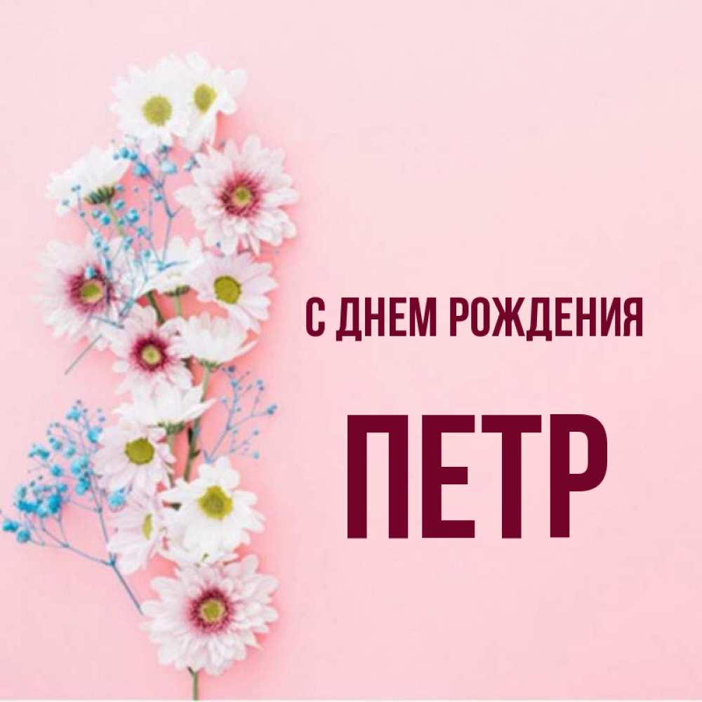 Открытка на каждый день с именем, ПЕТР С днем рождения Родная моя с днем рождения тебя картинка с цветами белыми и голубыми Прикольная открытка с пожеланием онлайн скачать бесплатно 