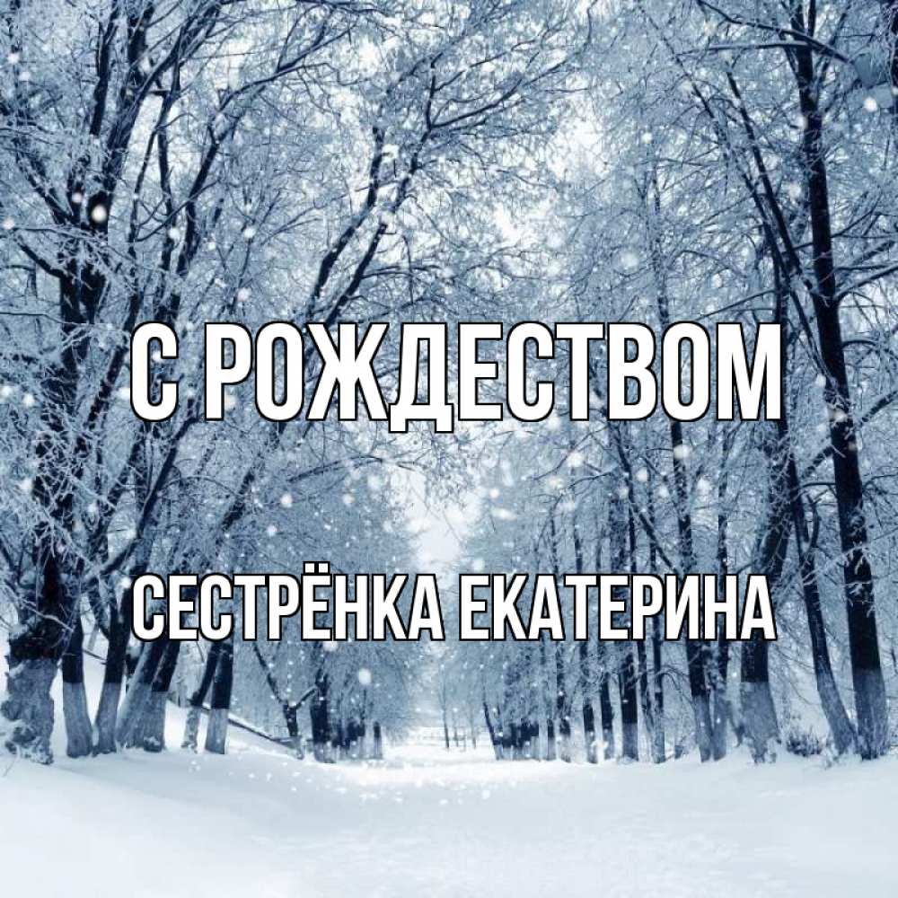 Открытка на каждый день с именем, Сестрёнка-Екатерина С рождеством снег, лес, парк Прикольная открытка с пожеланием онлайн скачать бесплатно 