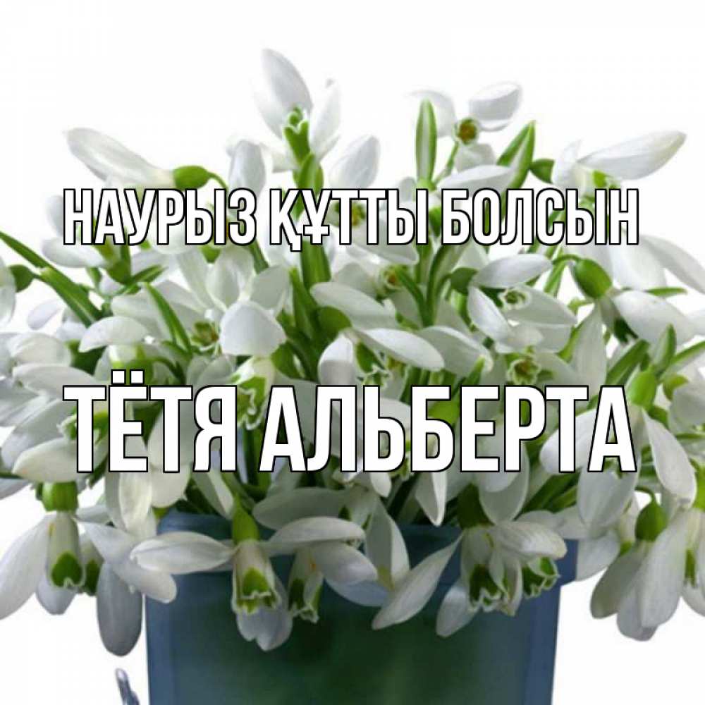 Открытка на каждый день с именем, Тётя-Альберта Наурыз құтты болсын цветы к наурызу Прикольная открытка с пожеланием онлайн скачать бесплатно 