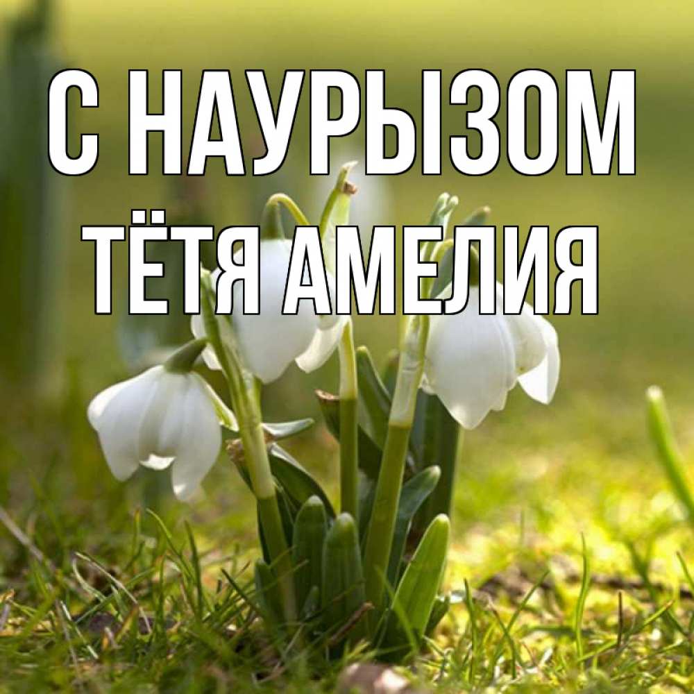 Открытка на каждый день с именем, Тётя-Амелия С наурызом ранние цветы 2 Прикольная открытка с пожеланием онлайн скачать бесплатно 