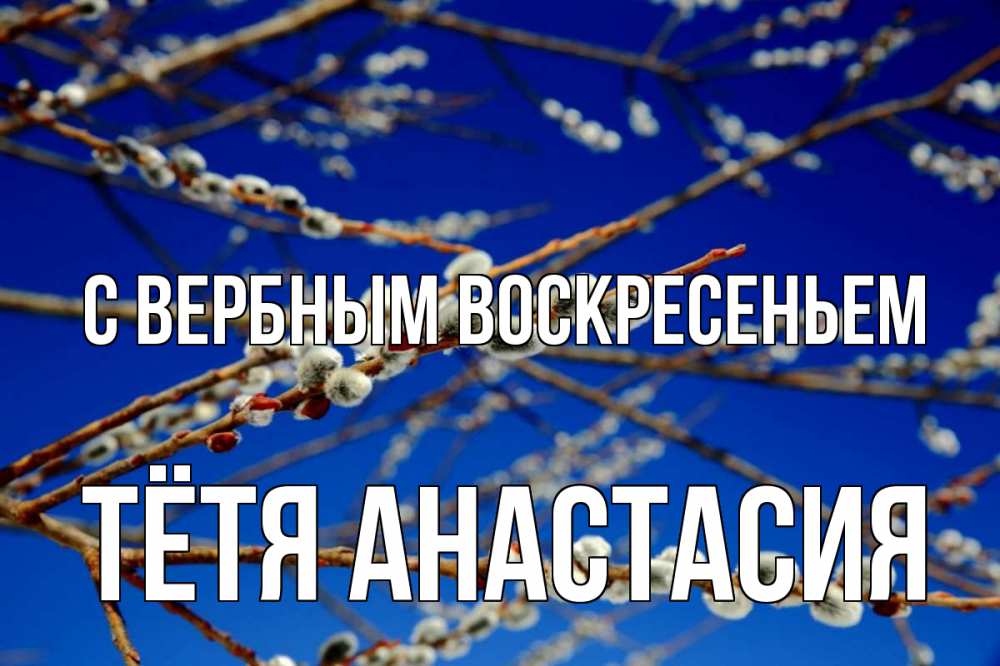 Открытка на каждый день с именем, Тётя-Анастасия С вербным воскресеньем верба Прикольная открытка с пожеланием онлайн скачать бесплатно 
