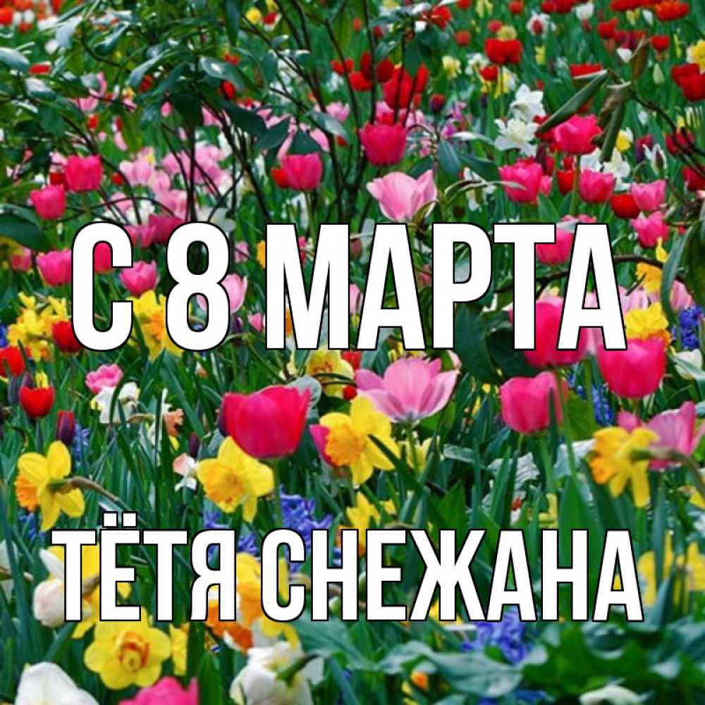 Открытка на каждый день с именем, Тётя-Снежана С 8 МАРТА с международным женским днем поздравления для женщины Прикольная открытка с пожеланием онлайн скачать бесплатно 
