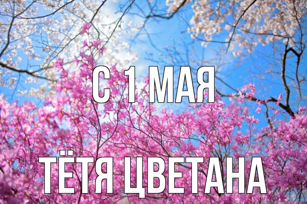 Открытка на каждый день с именем, Тётя-Цветана С 1 мая С 1 мая Прикольная открытка с пожеланием онлайн скачать бесплатно 