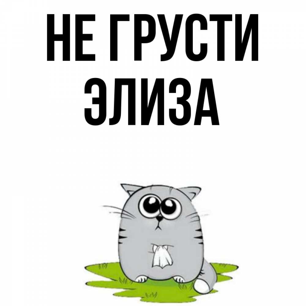 Открытка на каждый день с именем, Элиза Не грусти грустный котяра Прикольная открытка с пожеланием онлайн скачать бесплатно 