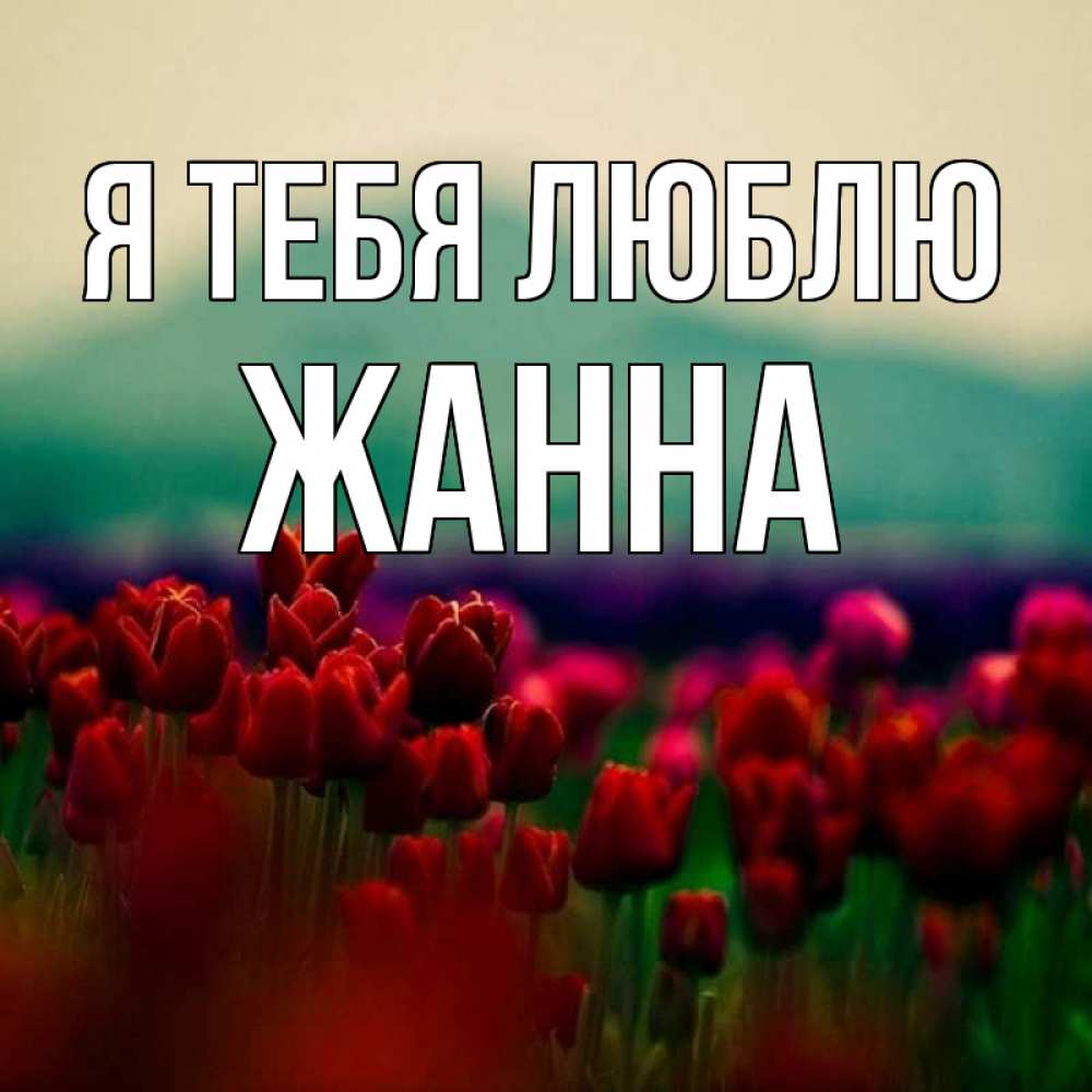 Цветы для жанны картинки