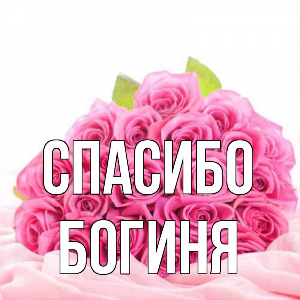Спасибо гена картинки