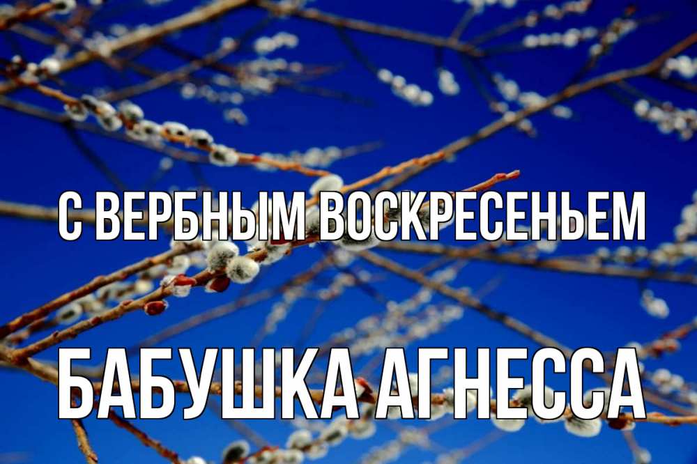 Открытка на каждый день с именем, Бабушка-Агнесса С вербным воскресеньем верба Прикольная открытка с пожеланием онлайн скачать бесплатно 