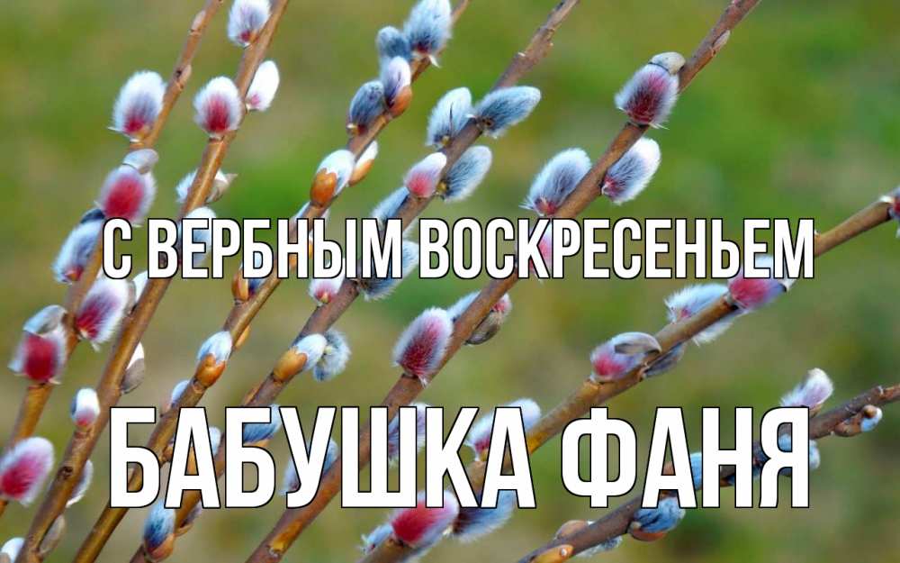 Открытка на каждый день с именем, Бабушка-Фаня С вербным воскресеньем верба Прикольная открытка с пожеланием онлайн скачать бесплатно 