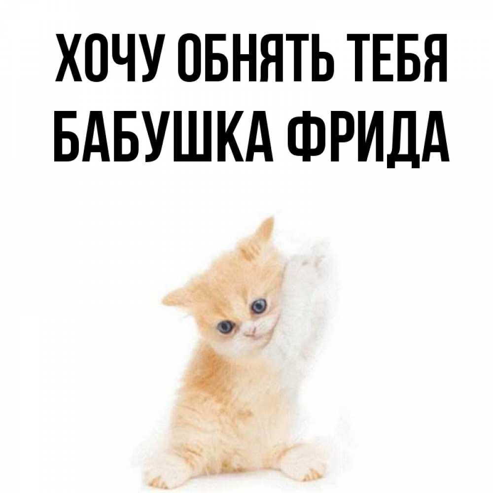 Открытка на каждый день с именем, Бабушка-Фрида Хочу обнять тебя я хочу очень скорее обнимаешек Прикольная открытка с пожеланием онлайн скачать бесплатно 