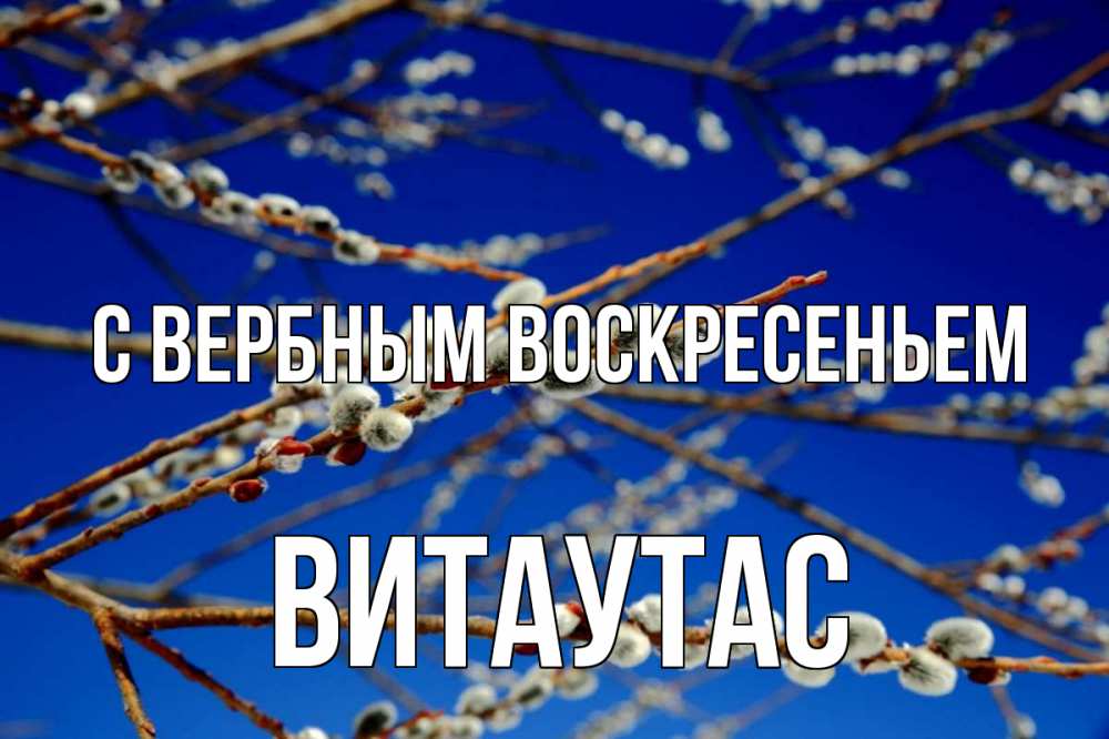 Открытка на каждый день с именем, Витаутас С вербным воскресеньем верба Прикольная открытка с пожеланием онлайн скачать бесплатно 
