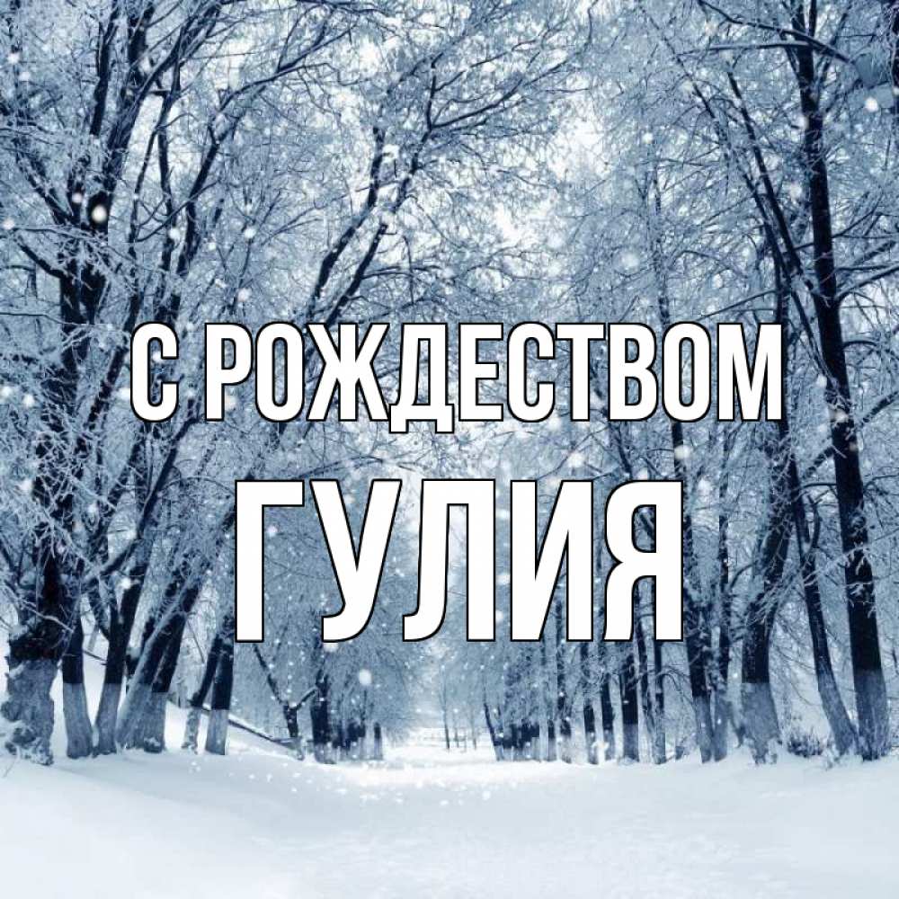 Открытка на каждый день с именем, Гулия С рождеством снег, лес, парк Прикольная открытка с пожеланием онлайн скачать бесплатно 