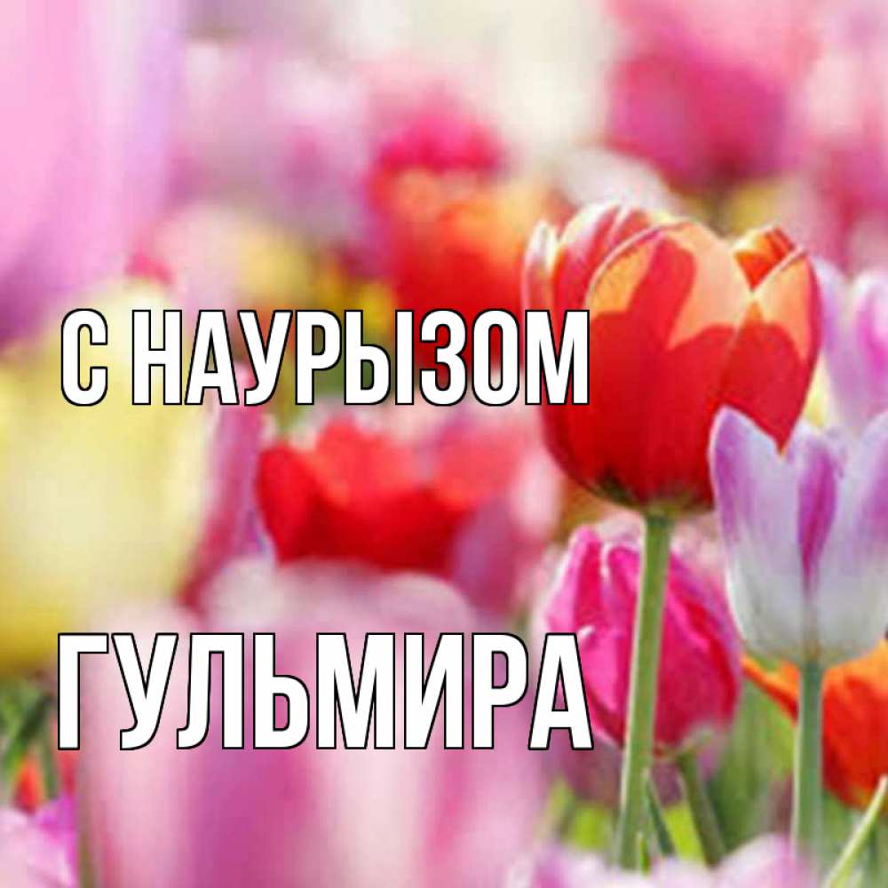 Открытка на каждый день с именем, Гульмира С наурызом праздник весны наурыз 67 Прикольная открытка с пожеланием онлайн скачать бесплатно 