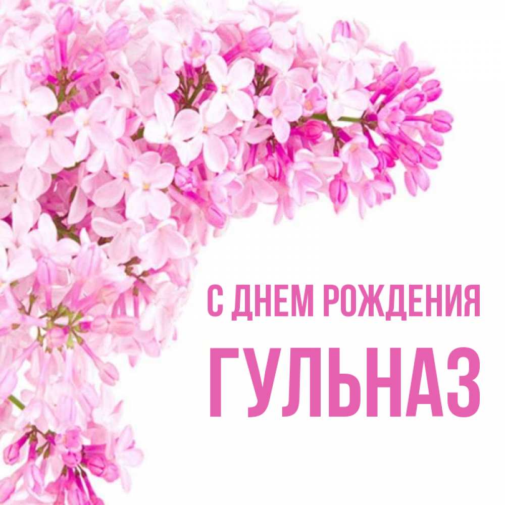 Открытка на каждый день с именем, Гульназ С днем рождения Сирень на белом фоне Прикольная открытка с пожеланием онлайн скачать бесплатно 