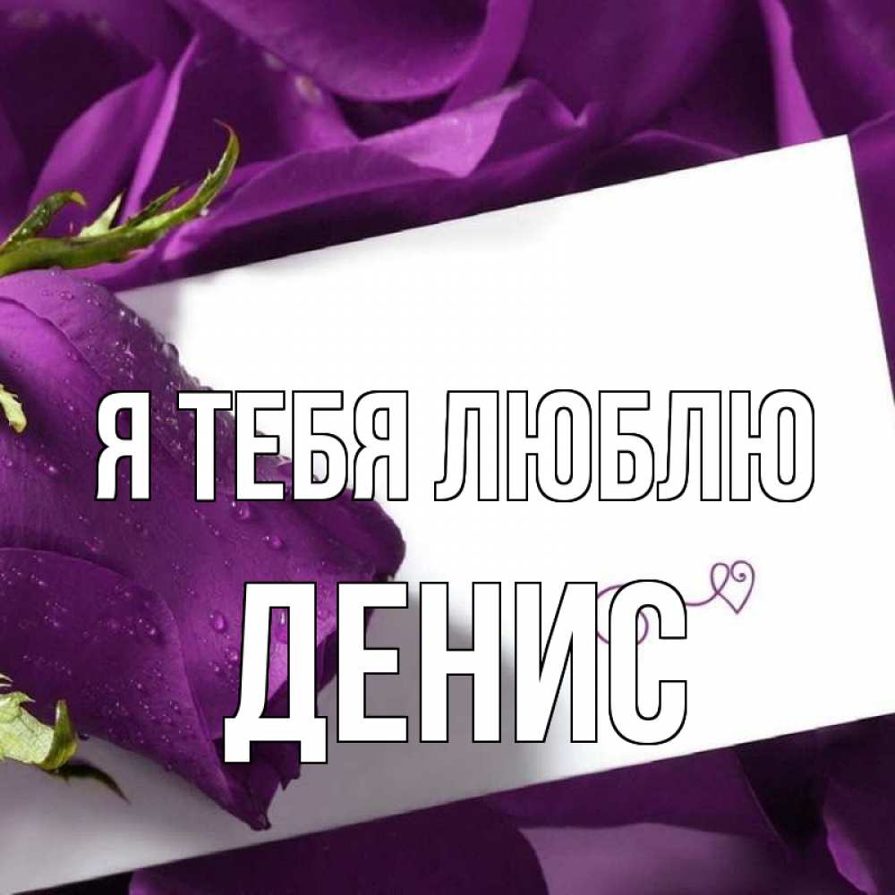 Открытка на каждый день с именем, Денис Я тебя люблю роза Прикольная открытка с пожеланием онлайн скачать бесплатно 