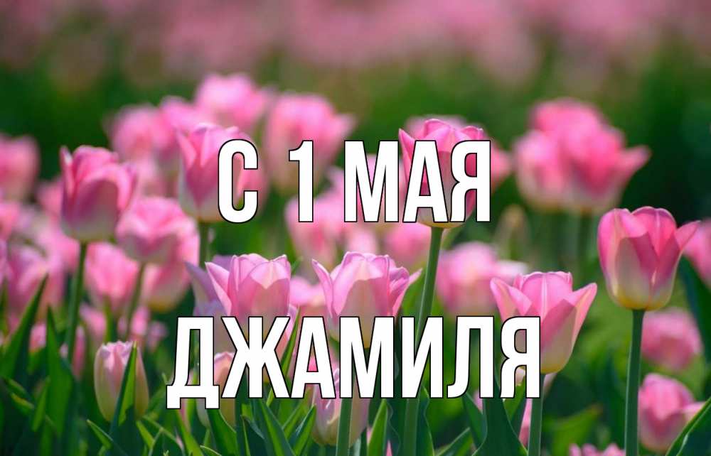 Открытка на каждый день с именем, Джамиля С 1 мая С 1 мая Прикольная открытка с пожеланием онлайн скачать бесплатно 