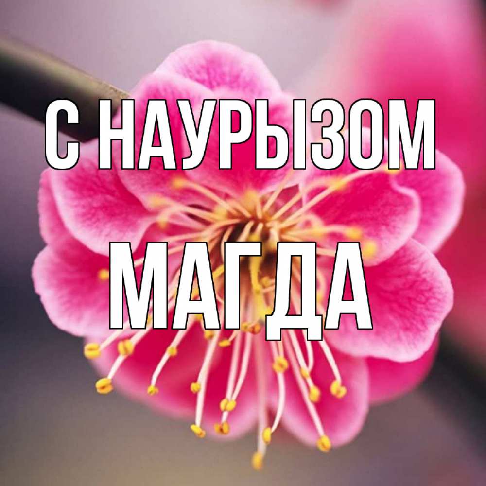 Открытка на каждый день с именем, Магда С наурызом цветы Прикольная открытка с пожеланием онлайн скачать бесплатно 