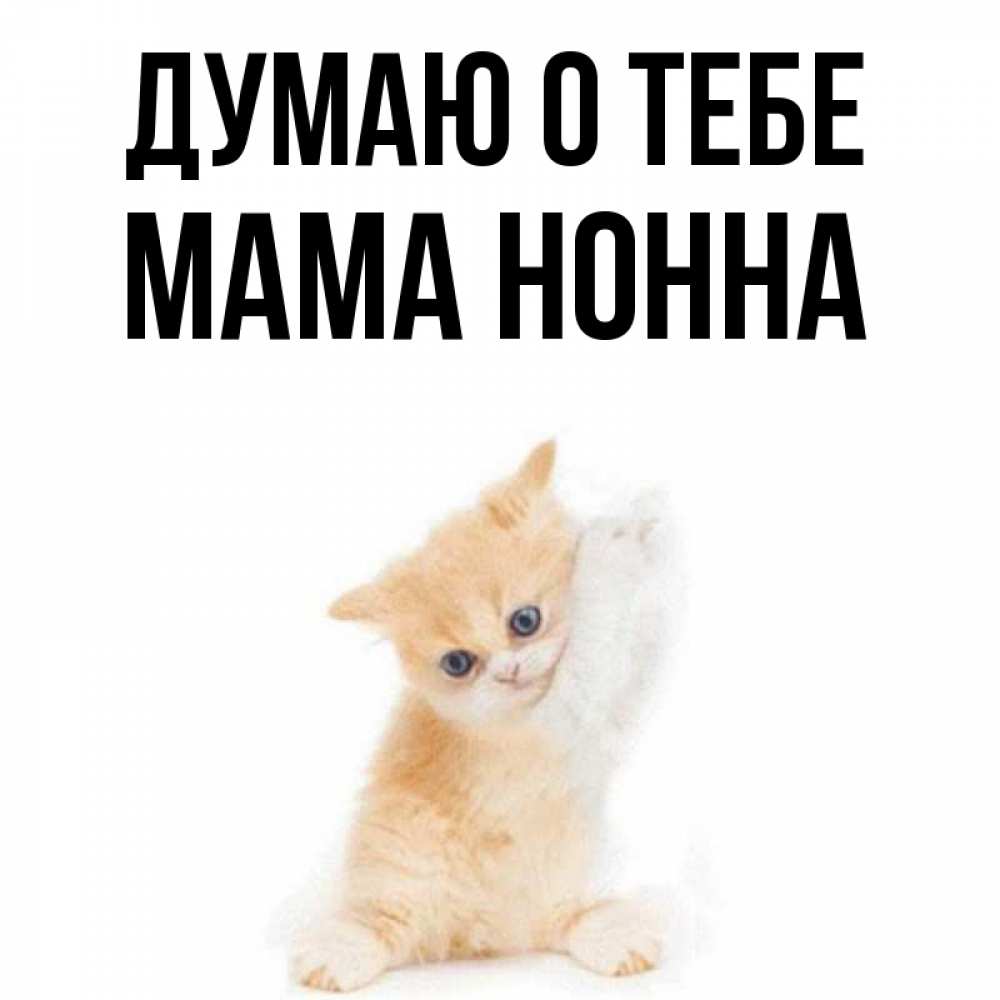 Открытка на каждый день с именем, Мама-Нонна Думаю о тебе зверушки и милота Прикольная открытка с пожеланием онлайн скачать бесплатно 