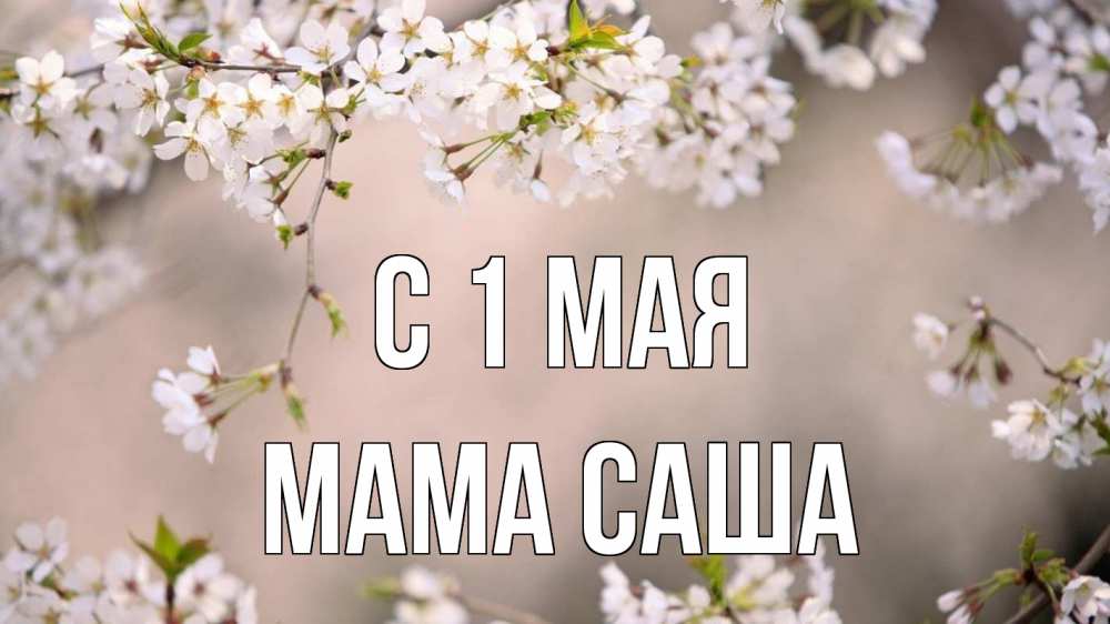 Открытка на каждый день с именем, Мама-Саша С 1 мая С 1 мая Прикольная открытка с пожеланием онлайн скачать бесплатно 