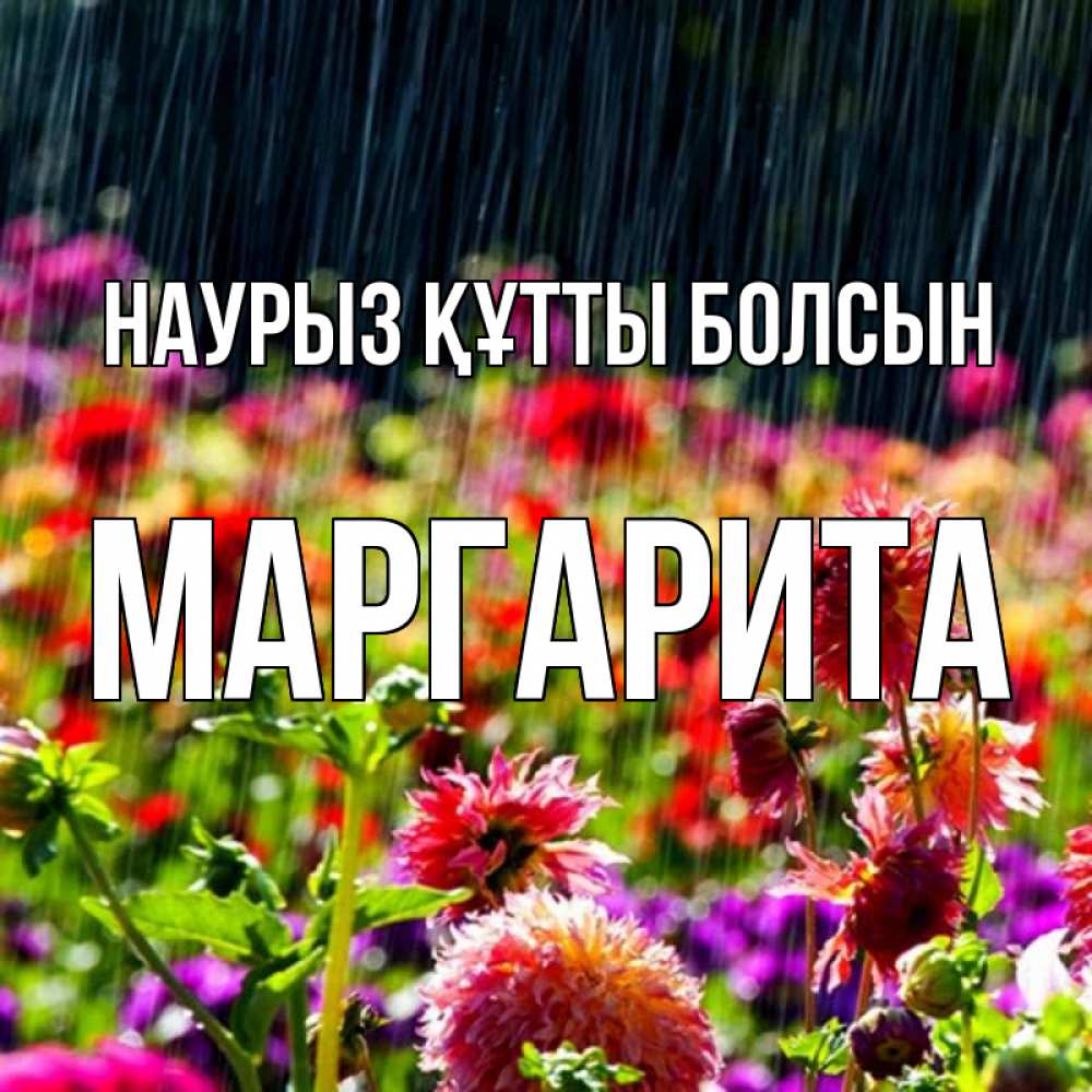 Открытка на каждый день с именем, Маргарита Наурыз құтты болсын цветы под дождиком к наурызу Прикольная открытка с пожеланием онлайн скачать бесплатно 