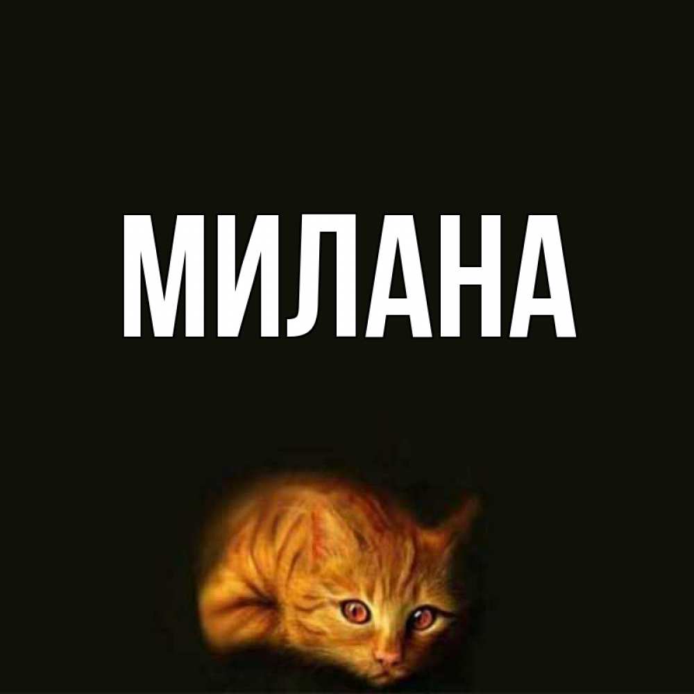 Открытка на каждый день с именем, Милана Главная лежащий кот в темноте Прикольная открытка с пожеланием онлайн скачать бесплатно 